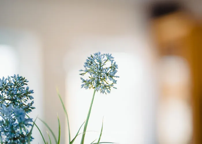 Appartamento Seewind W04 Laboe